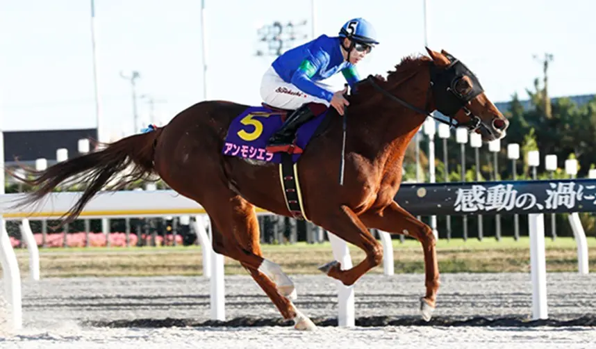 JBCレディスクラシック